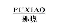 SuZhou desisen electronics CO.,Ltd